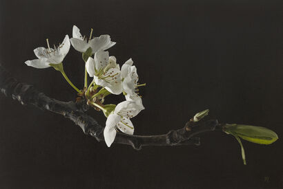 \'Emergence\' (Sakura II)\' - a Paint Artowrk by Trish Mitchell